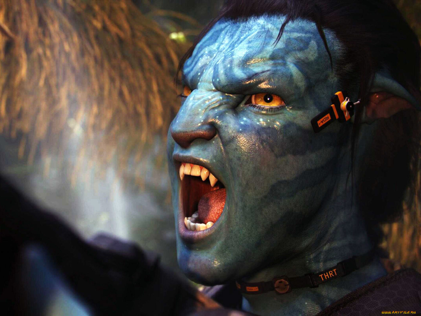 avatar, , 
